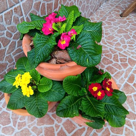 Água de Alto Casa Da Rosarinha 빌라 외부 사진
