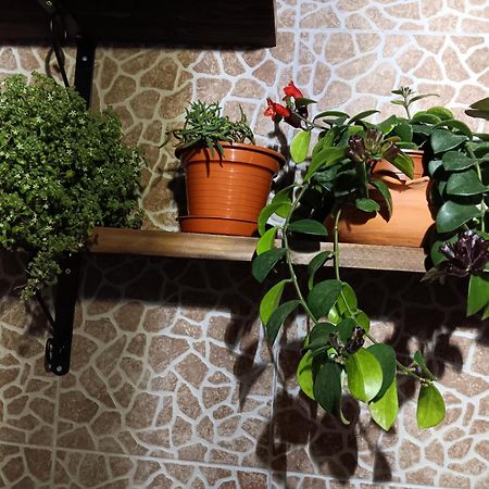 Água de Alto Casa Da Rosarinha 빌라 외부 사진