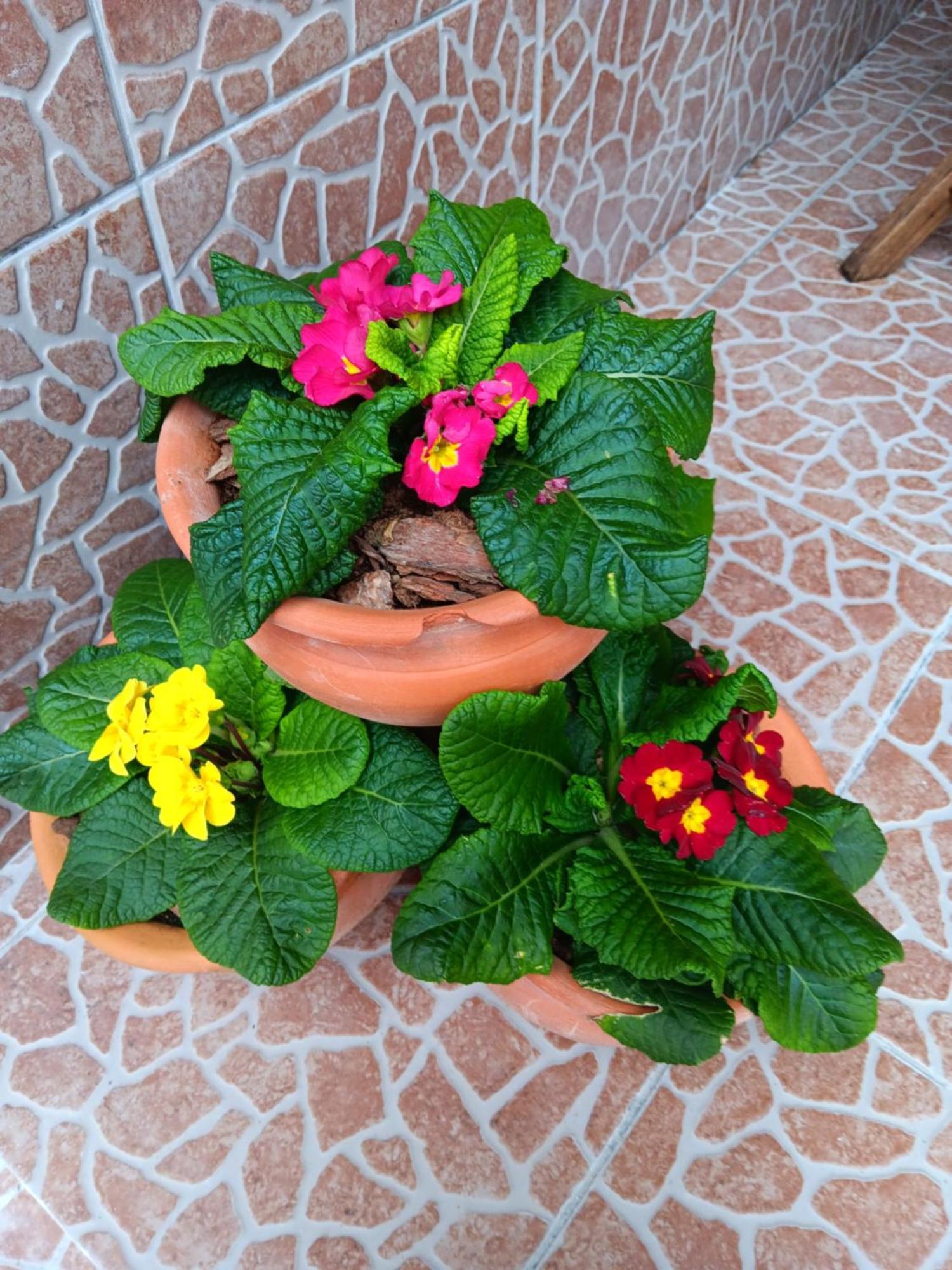 Água de Alto Casa Da Rosarinha 빌라 외부 사진