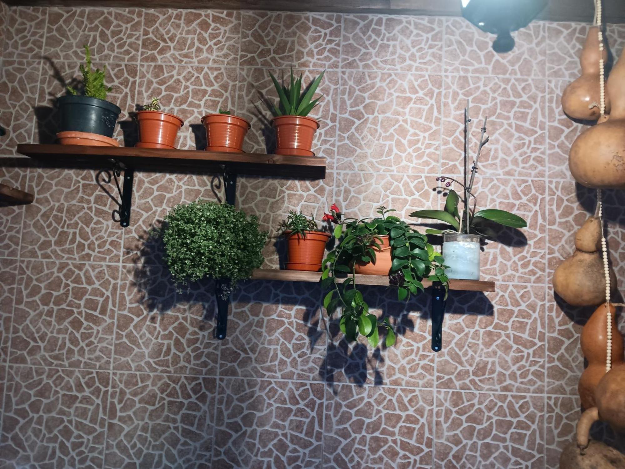 Água de Alto Casa Da Rosarinha 빌라 외부 사진