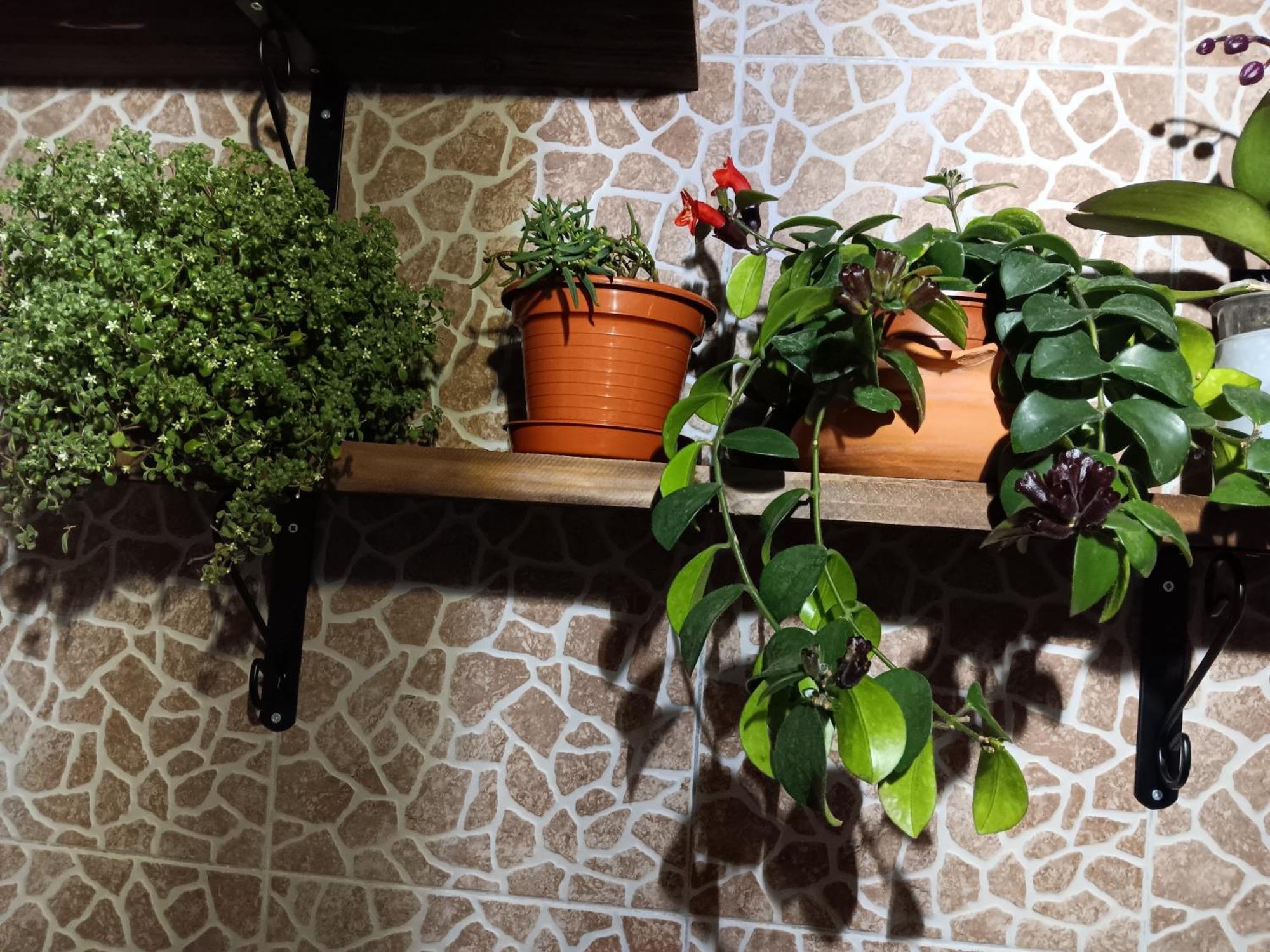 Água de Alto Casa Da Rosarinha 빌라 외부 사진