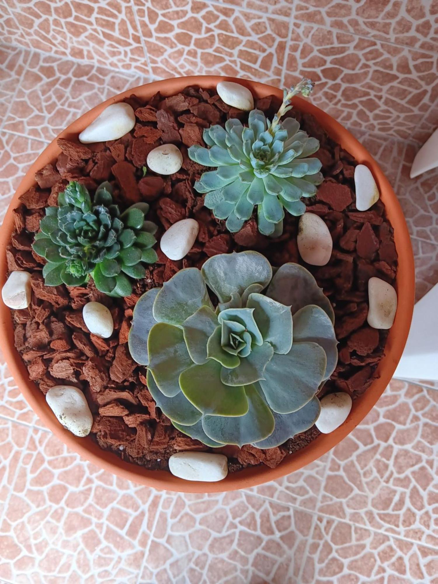 Água de Alto Casa Da Rosarinha 빌라 외부 사진